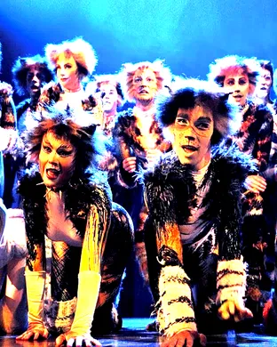 Cats - The Musical Warsaw